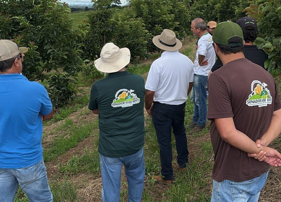Dia de Campo em Senador José Bento