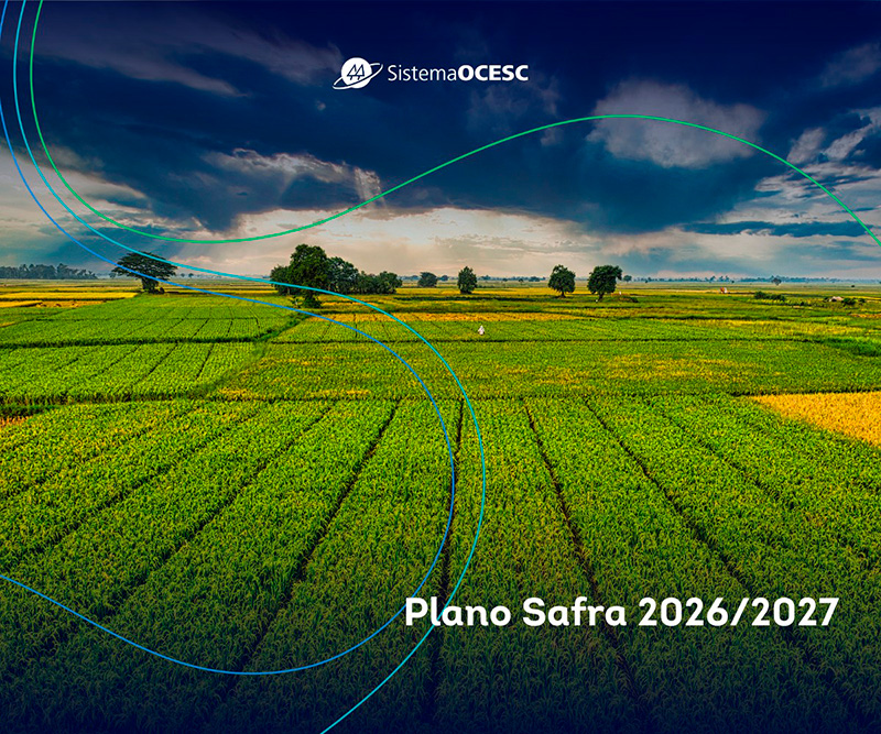 Imagem de plantação que ilustra cartaz da Ocesc para o Plano Safra 2026-2027