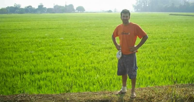 Seguro Agrícola garante proteção para a lavoura e para o bolso do agricultor