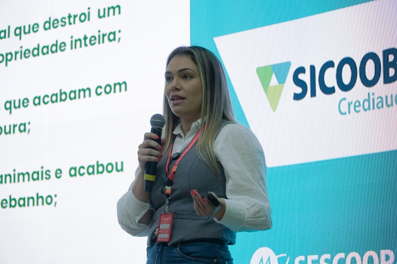 Galeria de imagens