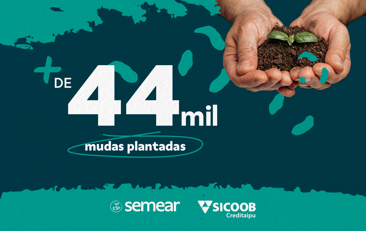 Iniciativa já contabiliza o plantio de 44.241 mudas de árvores nativas e a recuperação de 473.488 metros quadrados de áreas, reforçando o compromisso da cooperativa com a sustentabilidade, a educação ambiental e as futuras gerações.