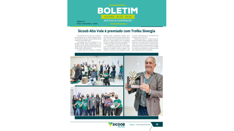 Edição 17