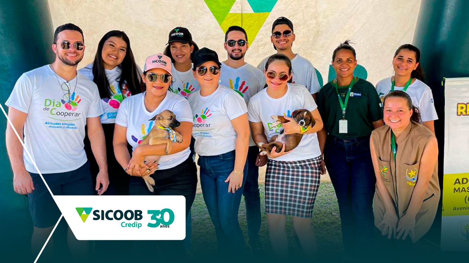 Parceria entre colaboradores da Sicoob Credip e o Centro de Bem-Estar Animal incentivou a adoção de cães e ações de cuidado com animais em situação de rua.