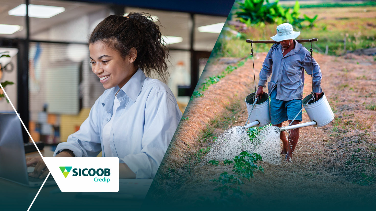 Estudo Radar Grandes Números 2025 mostra que o estado possui a maior presença proporcional de cooperados do Sicoob no Brasil, tanto entre pessoas quanto entre empresas.