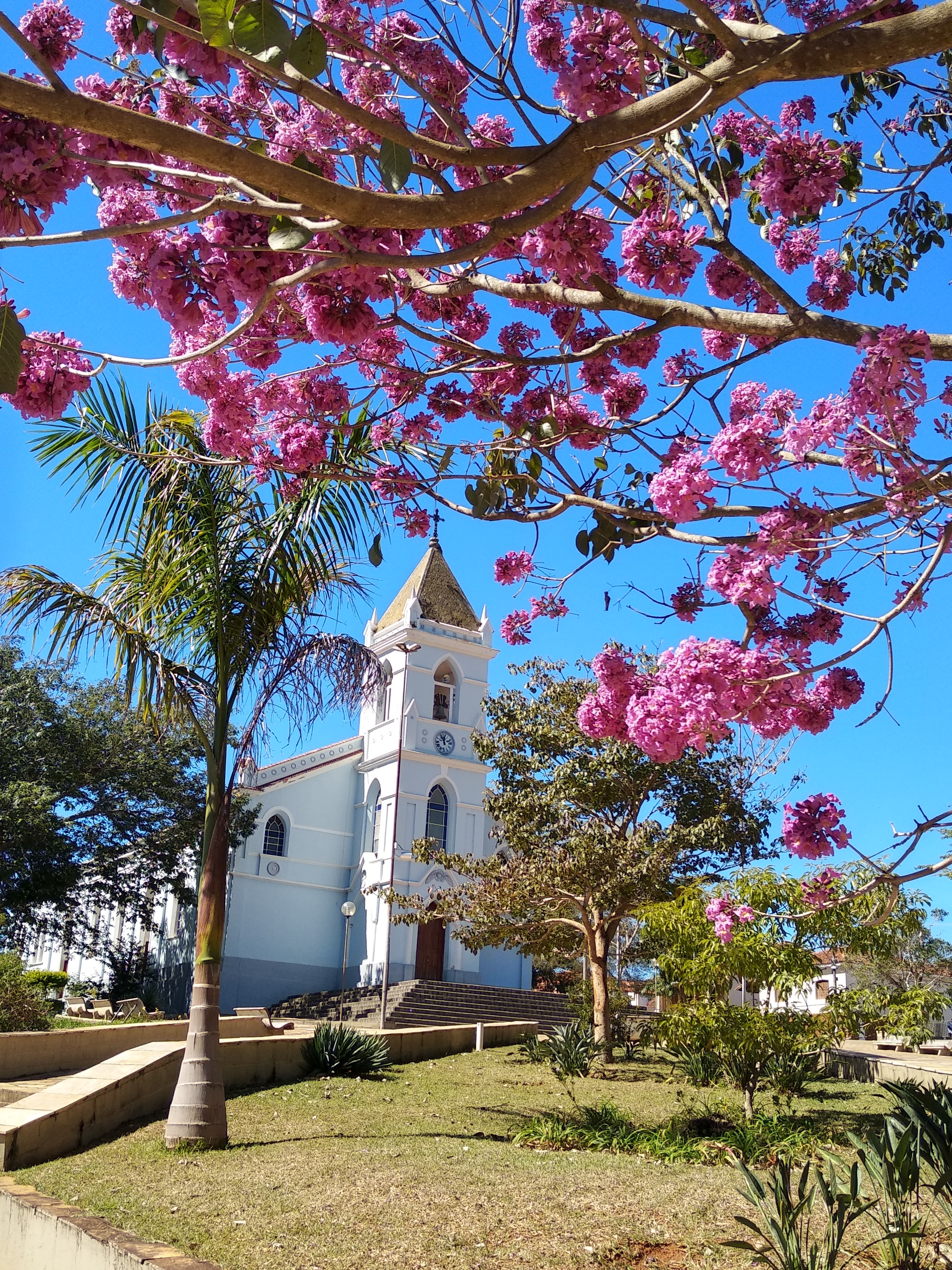 Adilio Ferreira Milani - Carmo da Cachoeira