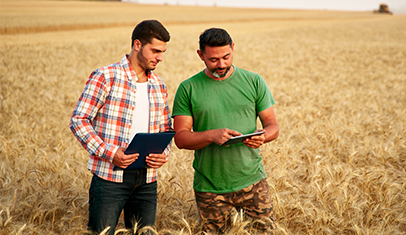 Crédito Agronegócio