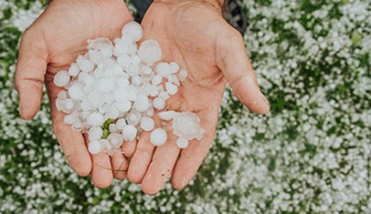 Seguro Granizo