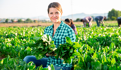 Consórcio de Serviços