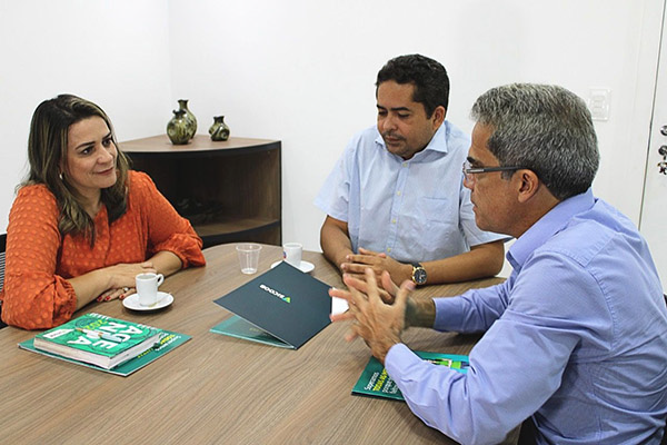 Anacelly de Paula em reunião com membros da Coopmed/RN