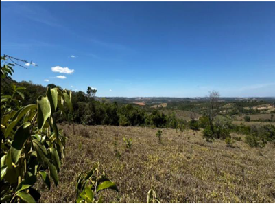 Terreno Rural Camacho
