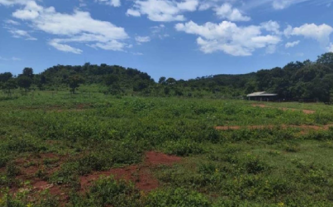 Foto 2 do bem à venda