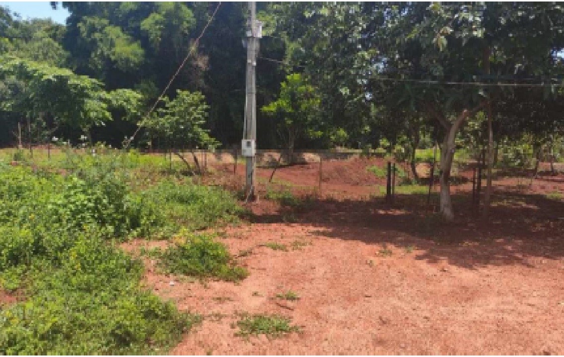 Foto 4 do bem à venda