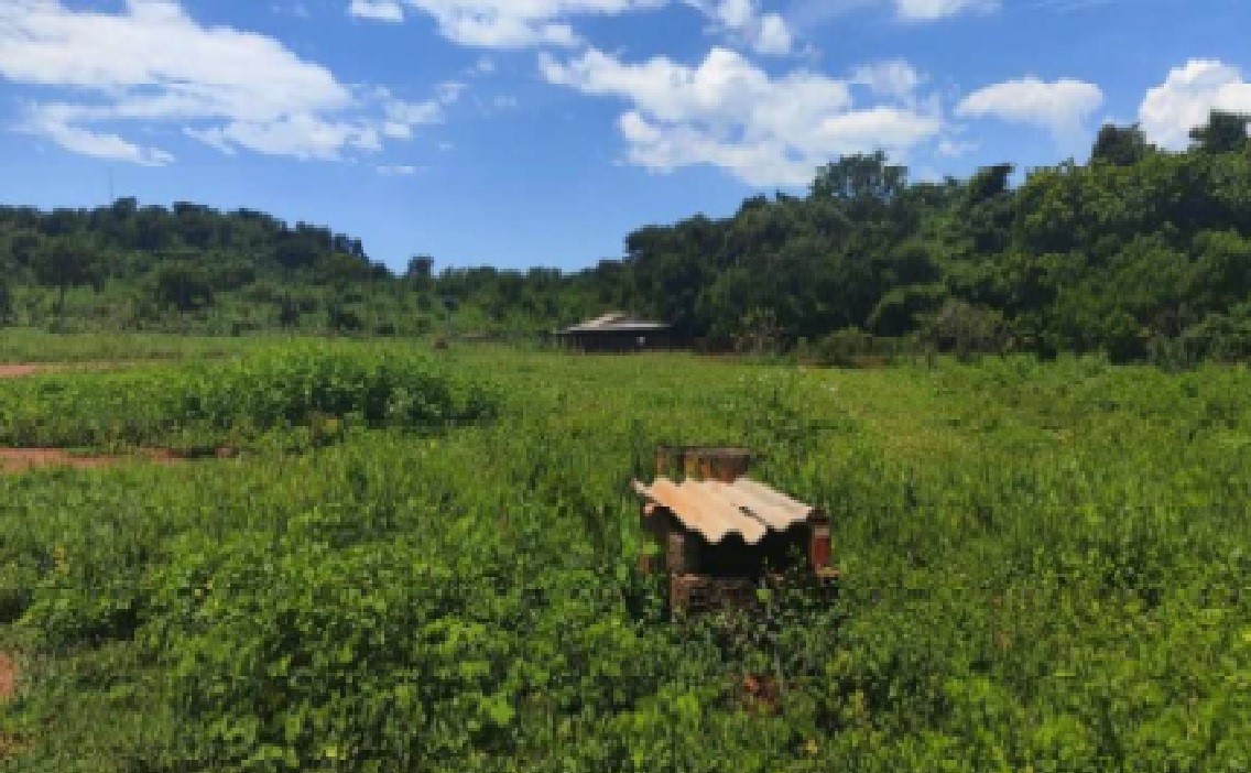 Foto 5 do bem à venda