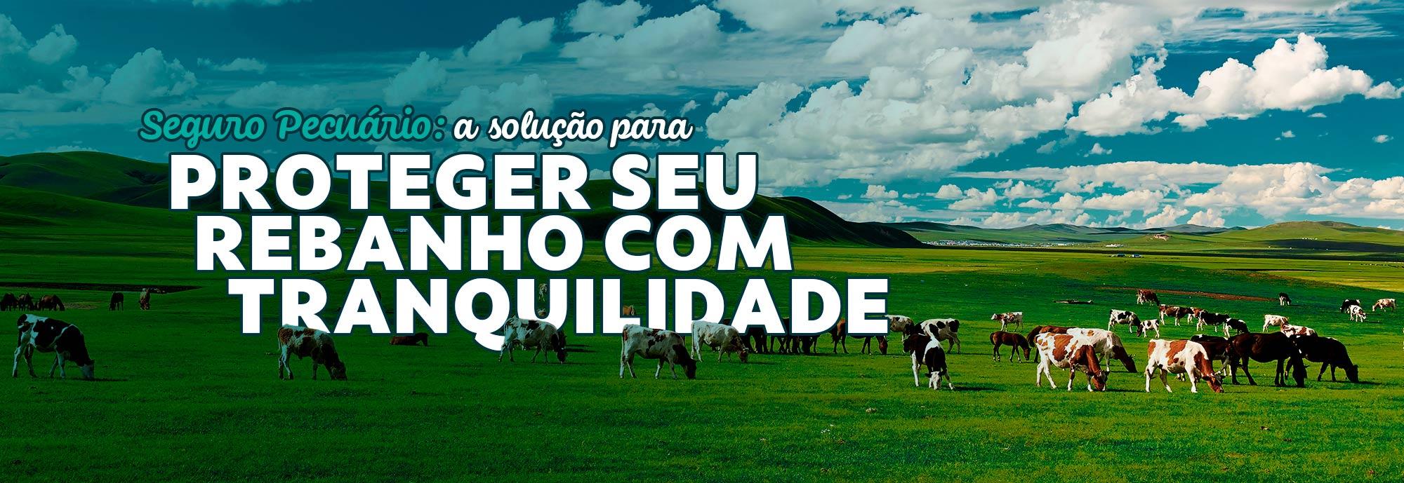 Seguro Pecuário: a solução para proteger seu rebanho com tranquilidade