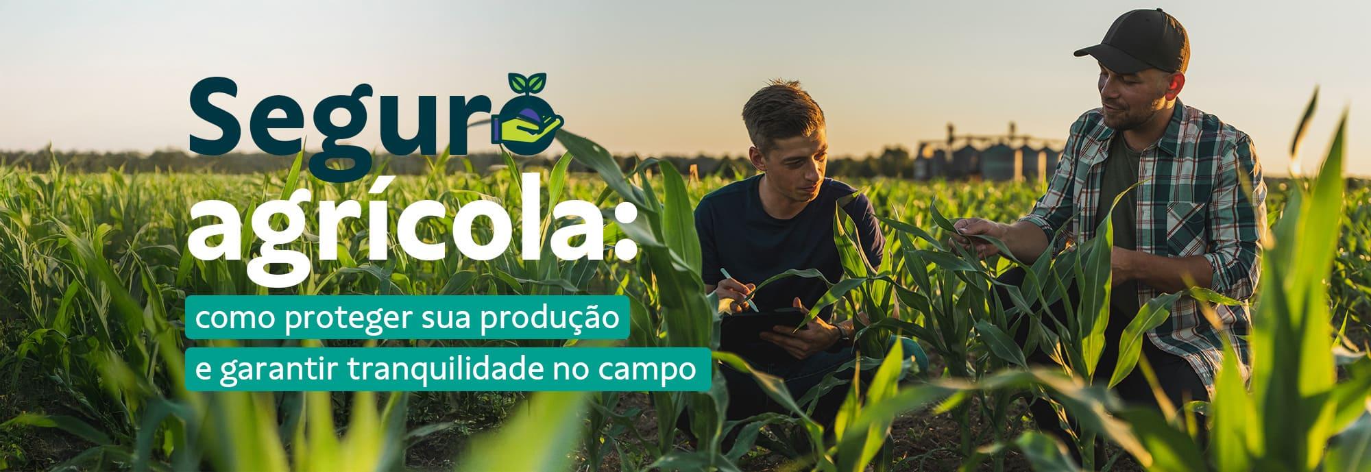 Seguro agrícola: como proteger a sua produção e garantir tranquilidade no campo