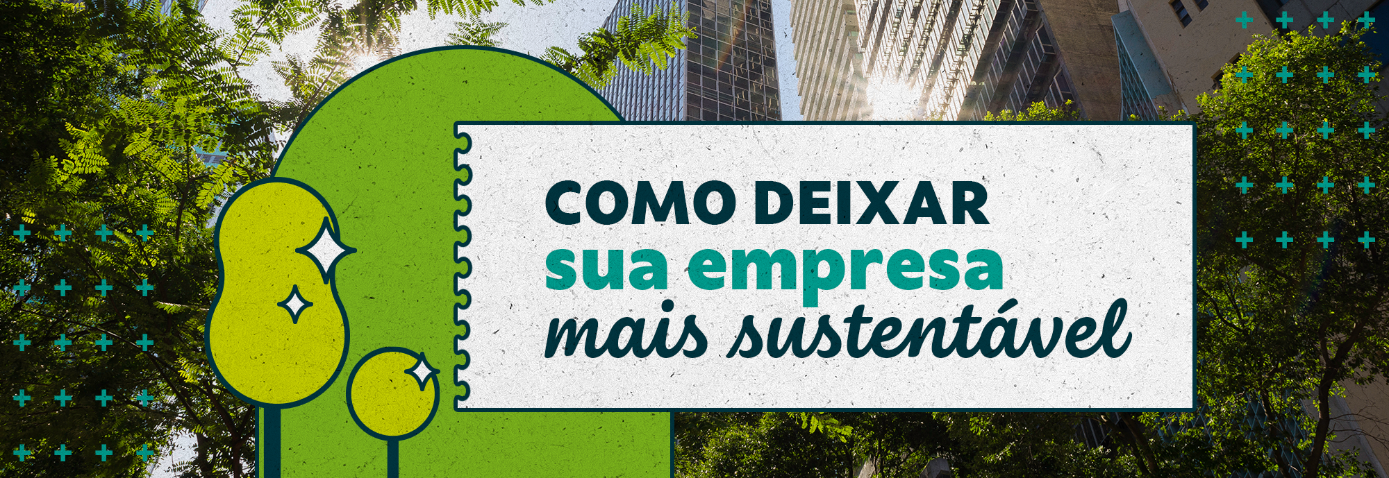 Como tornar sua empresa mais sustentável: dicas e incentivos do Sicoob
