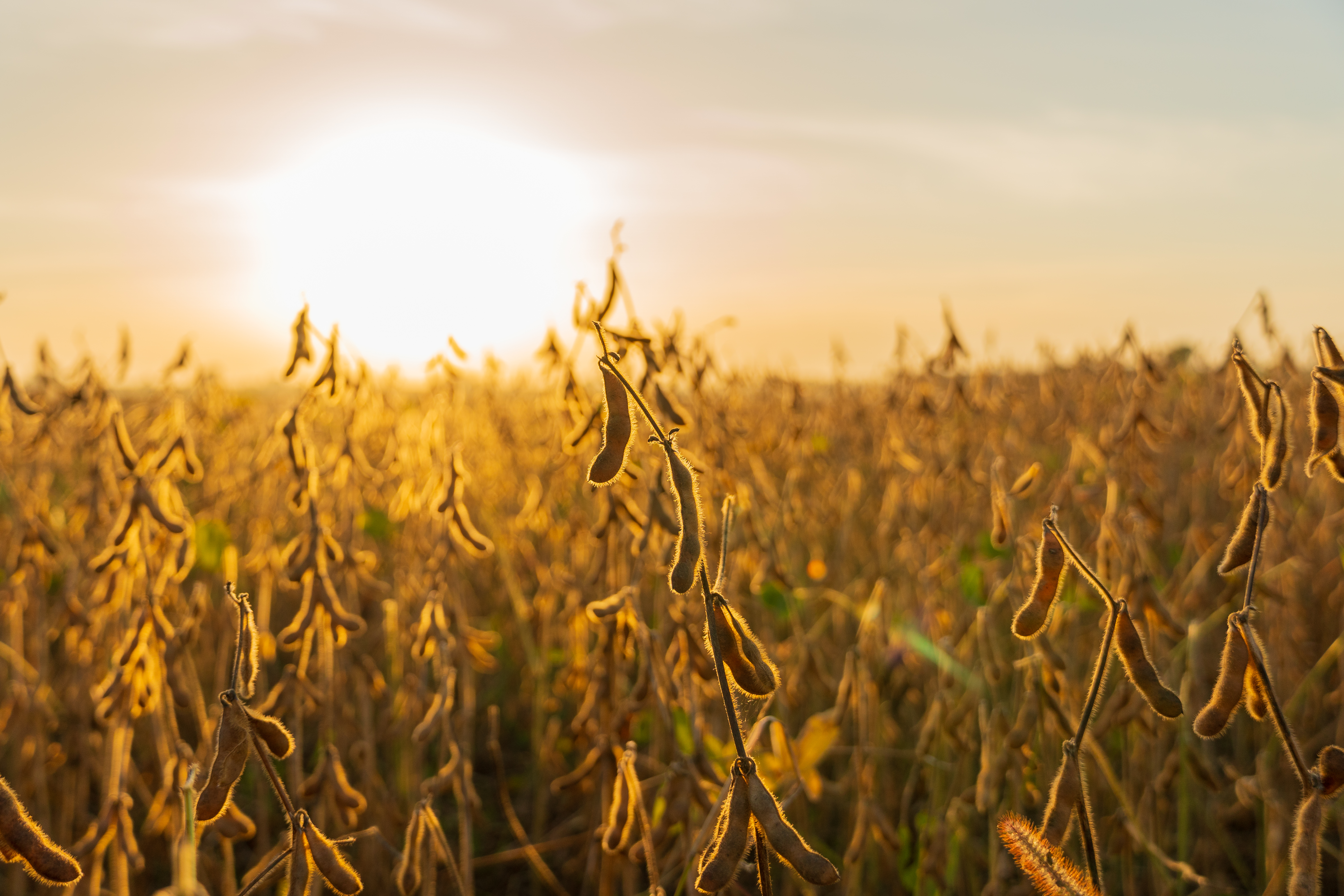 Parceria com o BNDES  possibilita acesso a linhas de crédito com condições diferenciadas