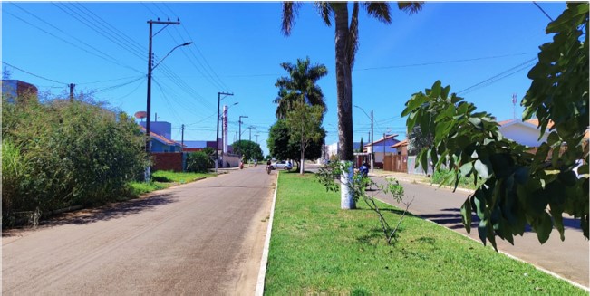 Foto 1 do bem à venda