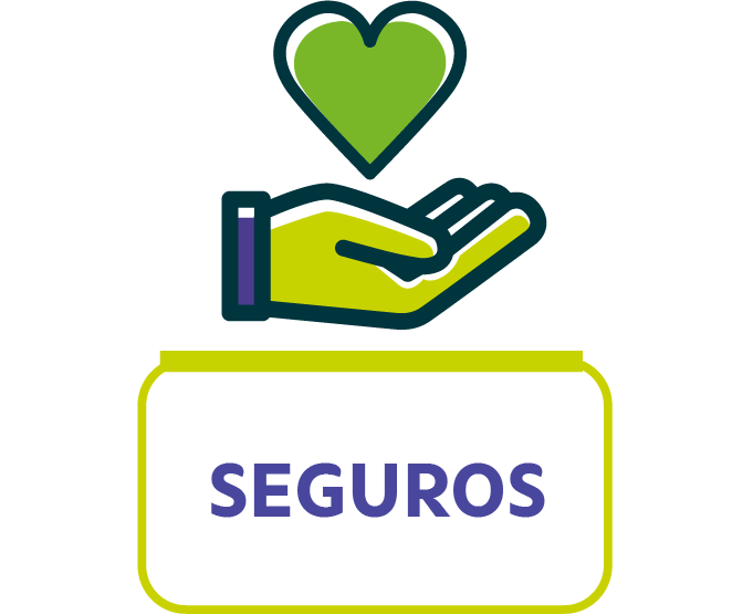 seguros