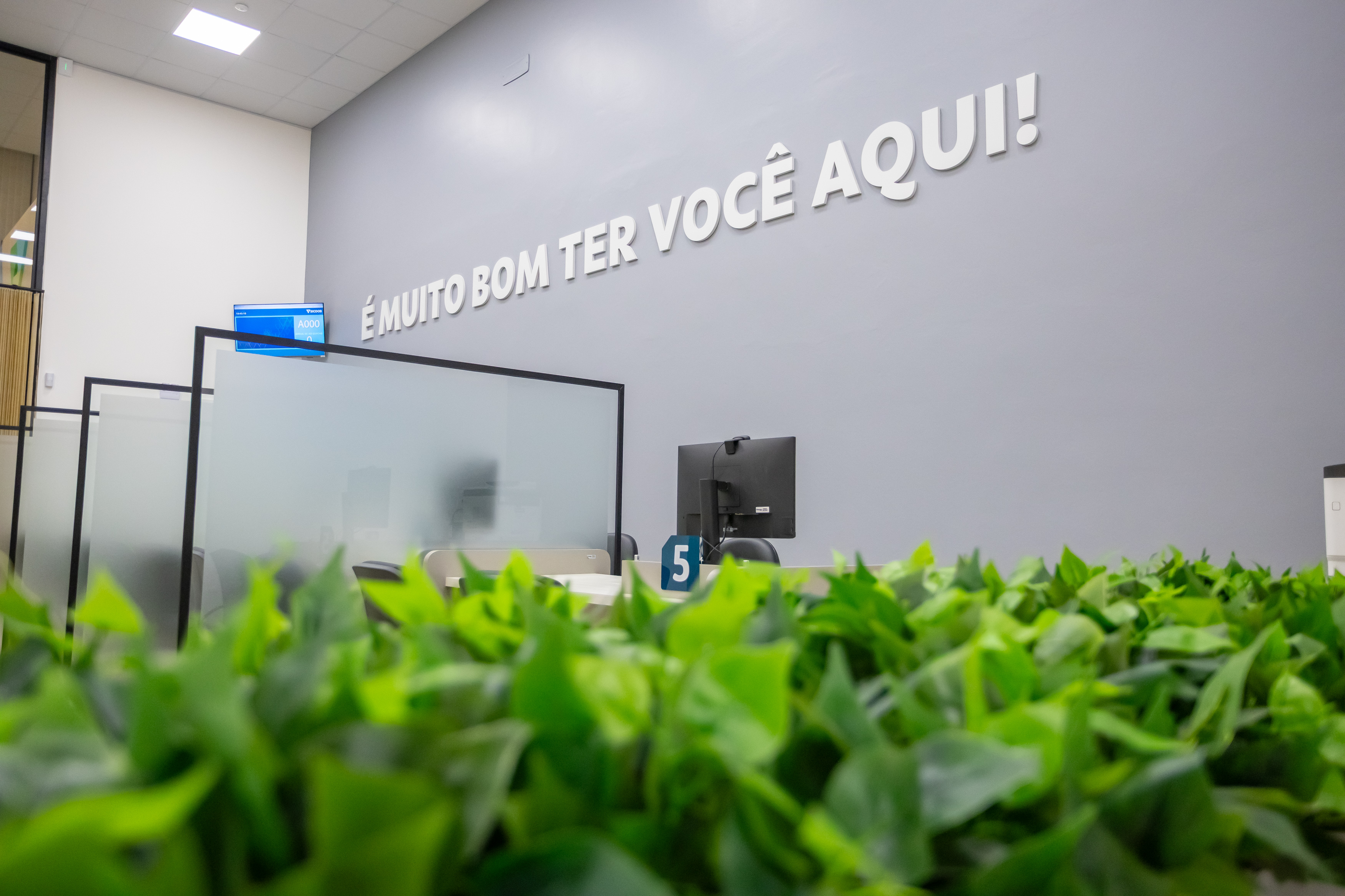Galeria de imagens