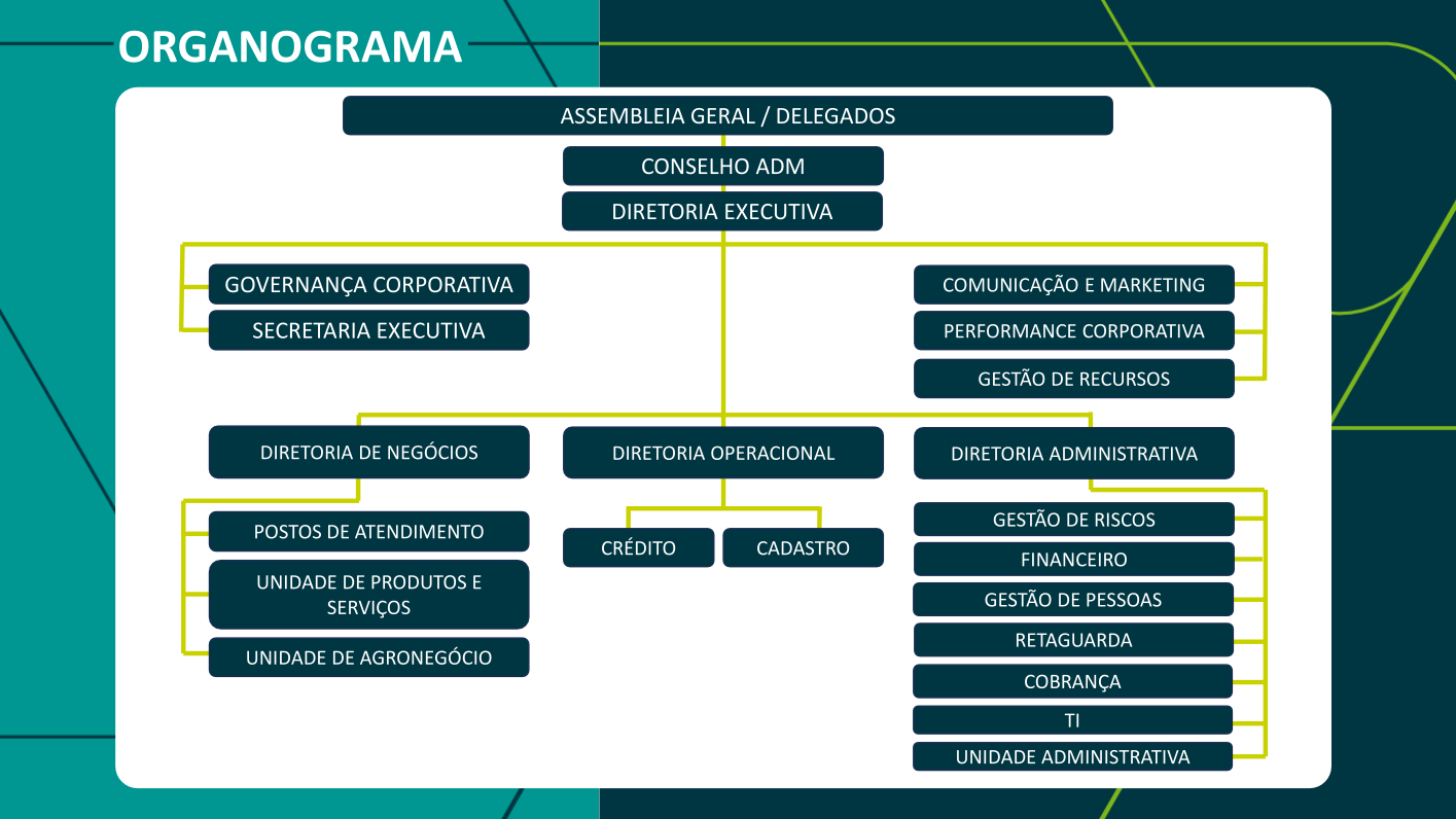 Organograma da cooperativa Sicoob Credibrasília