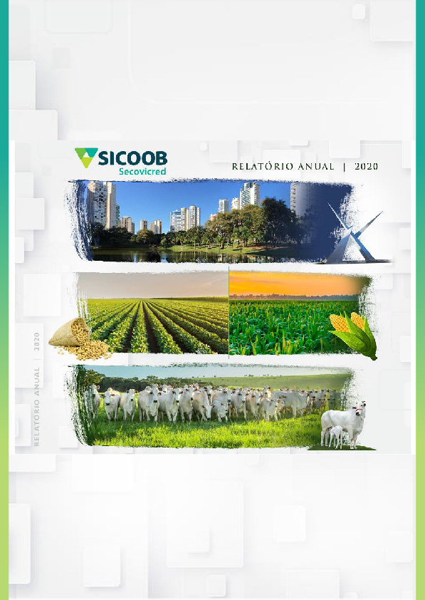 Relatório Anual 2020