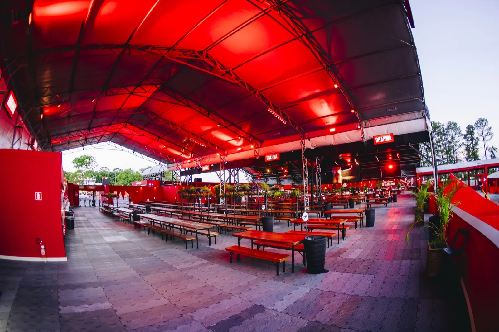 Show principal com fogos