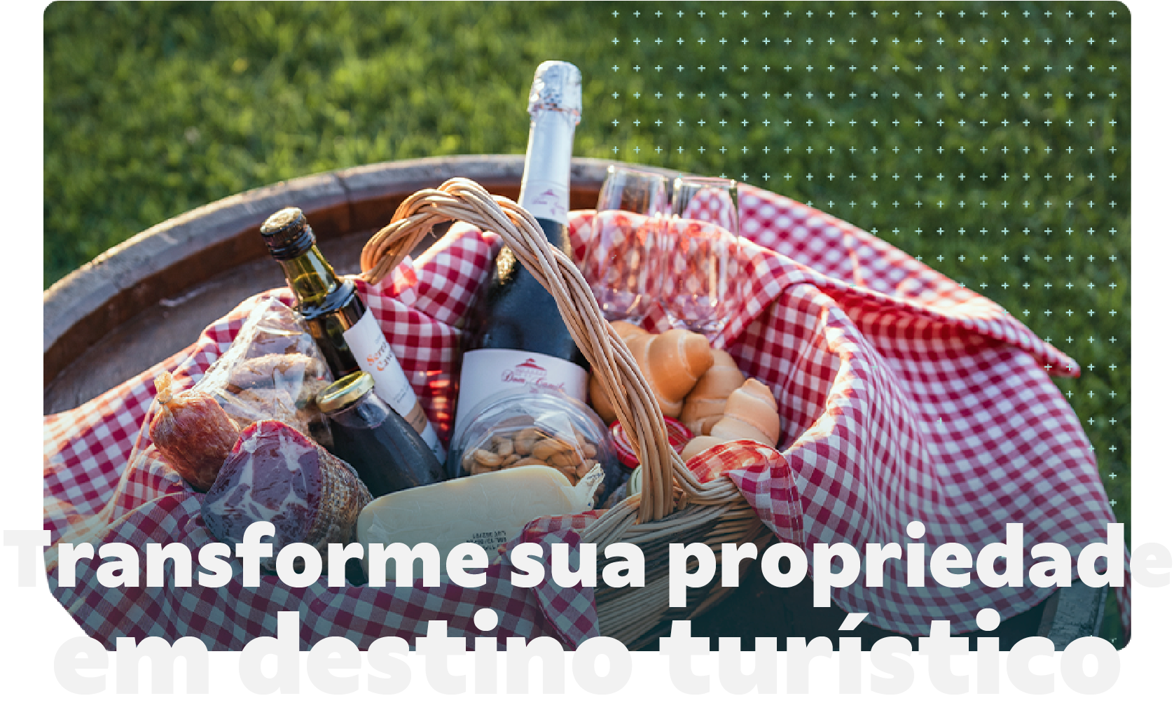 Piquenique no campo