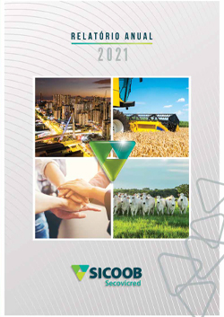 Relatório Anual 2021