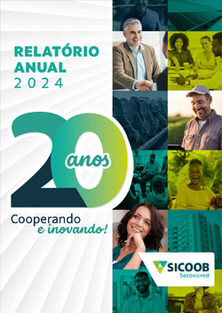 Relatório Anual 2024